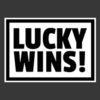 LuckyWins Casino (CA)